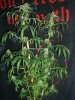 GIRL SCOUT COOKIES_9-21-13 2 9 WEEKS.jpg