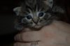 DSC_0004_NEF_shotwell.jpg