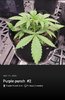 Screenshot_20220511-105912_Jane.jpg