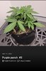 Screenshot_20220511-105755_Jane.jpg