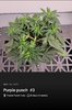 Screenshot_20220518-070156_Jane.jpg