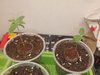 20220621_145239.jpg 20220621_145239.jpg