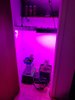 20210608_191409.jpg