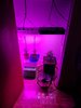 20210612_090746.jpg