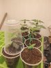 20220626_083725.jpg 20220626_083725.jpg