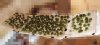 SatiChaze drying.jpg