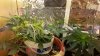 20130926_094741.jpg