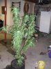 SDC10004.jpg