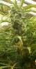 20130926_213740-1.jpg