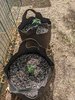 07-03-smartpots.jpg