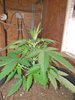 20220706_084043.jpg 20220706_084043.jpg