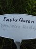 20160503_034947.jpg