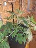 20220711_172631.jpg 20220711_172631.jpg