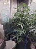 20220713_071632.jpg