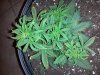 20130927_200854.jpg 20130927_200854.jpg