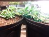 20130927_201131.jpg