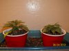 day 16 pic 1.jpg