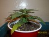 day 16 pic 3.jpg