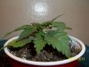 day 16 pic 4.jpg