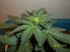 day 19 pic 3.jpg