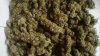 Buds - Blue LED.jpg