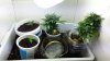 20131001_144013.jpg