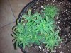 20131001_053542.jpg