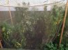9.21 after rain....jpg
