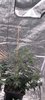 Screenshot_20220805-100125_Gallery.jpg