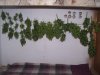 100_3560.jpg