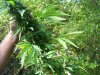 100_3334.jpg