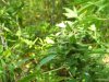 100_3343.jpg