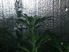 20131002_130151.jpg