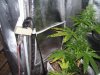 100_3352.jpg