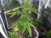 100_3353.jpg