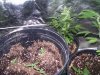 100_3355.jpg