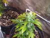 100_3367.jpg