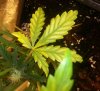 20131003_030539.jpg