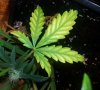 20131003_030645.jpg