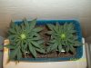 day 26 pic 2.jpg