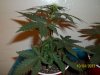 day 26 pic 3.jpg