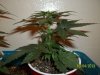 day 26 pic 4.jpg