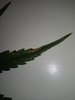 IMG_20220810_083123_783.jpg
