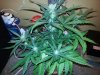 20131006_223252.jpg