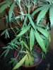 20131006_223604.jpg