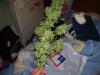 100_3388.jpg