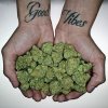 good_vibes_herb-4561.jpg