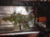 20131008_191819.jpg
