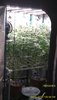 IMG_20220905_190036.jpg