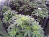 Timelapse 4K 9-12-2022, 10-09-30 AM.jpg